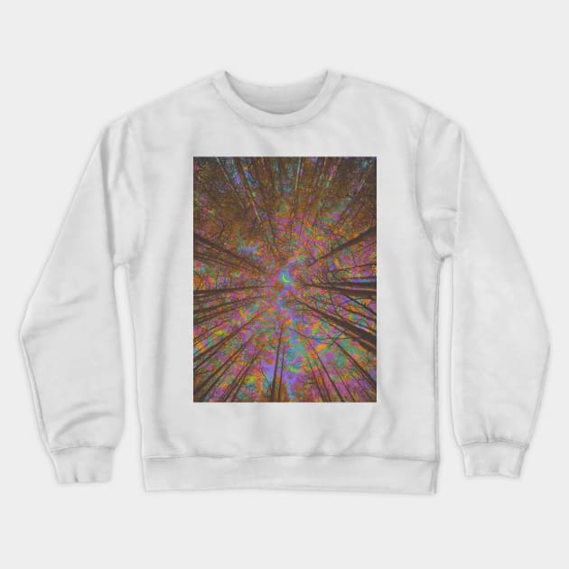 Natural Energy Crewneck Sweatshirt by Cajuca